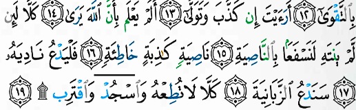 Sourate Al Aladq(96) prosternation de récitation - Mon Quran et moi